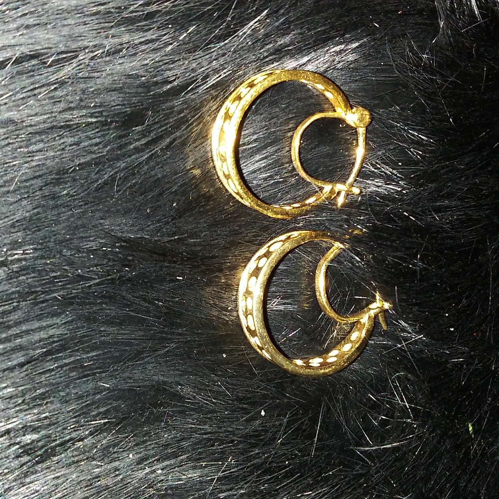 14 kt gold / Sterling Silver earrings
